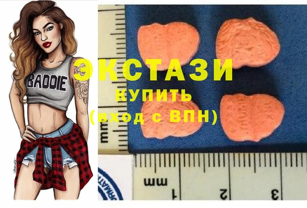 стафф Аркадак