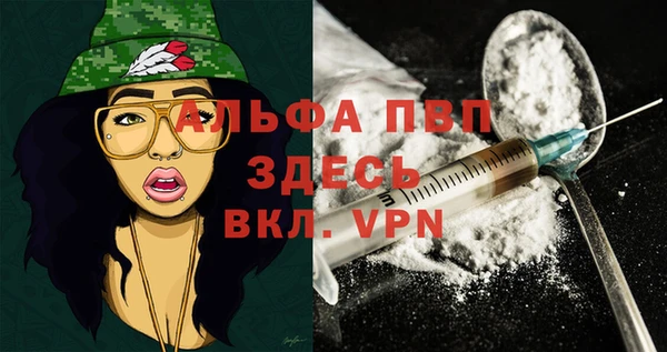 стафф Аркадак