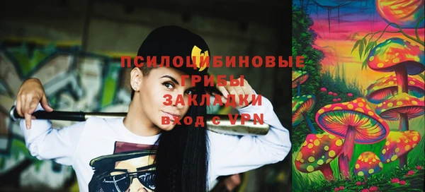 стафф Аркадак