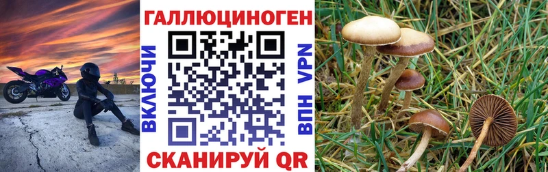 даркнет сайт  Спас-Деменск  Псилоцибиновые грибы Psilocybine cubensis 